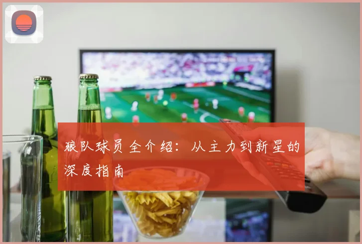 狼队球员全介绍:从主力到新星的深度指南