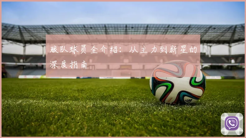 狼队球员全介绍:从主力到新星的深度指南